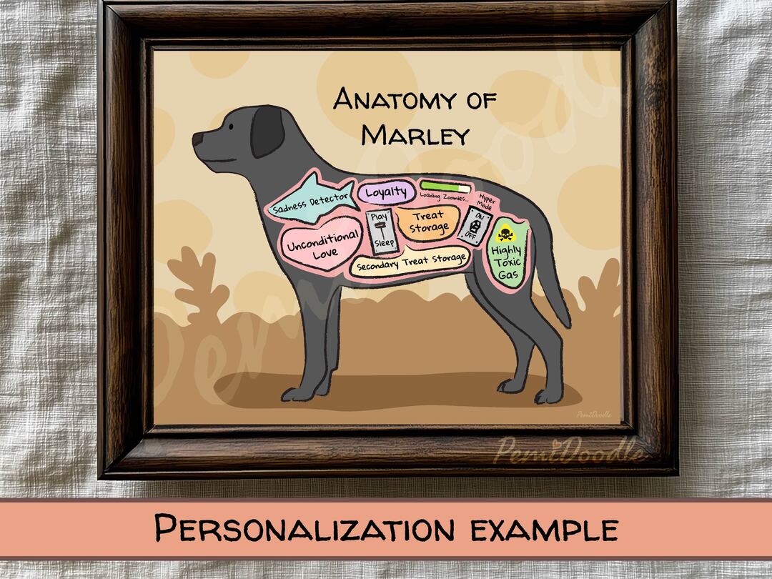 Anatomy of a Black Lab custom art print on Etsy