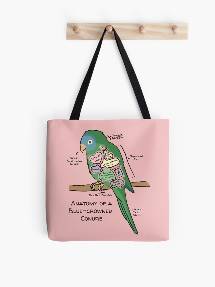 A pink-colored tote bag hanging off a wooden hook. On the tote bag features a cartoon illustration titled “Anatomy of a Blue-crowned Conure” showing a cute Blue-crownedConure parrot with funny labeled anatomy sections.
