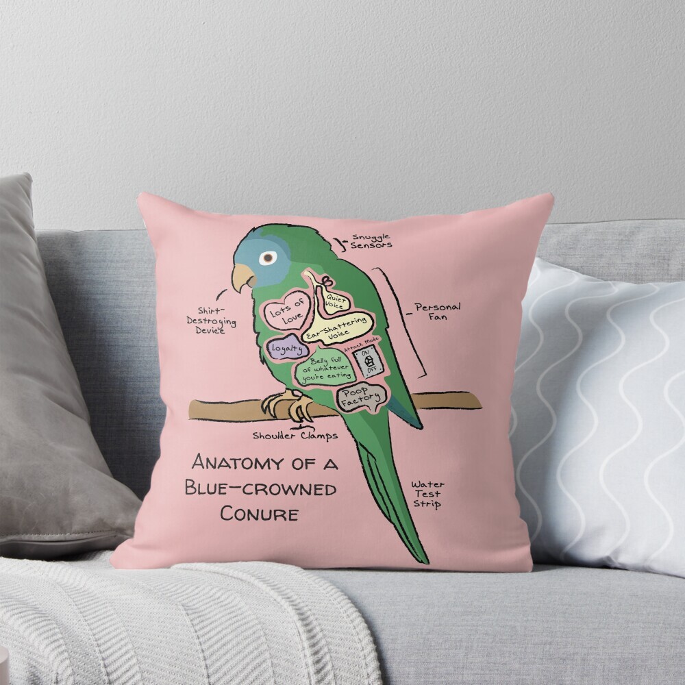 Decorative throw pillow on a couch featuring a cartoon illustration titled “Anatomy of a Blue-crowned Conure” showing a cute Blue-crowned  Conure parrot with funny labeled anatomy sections.