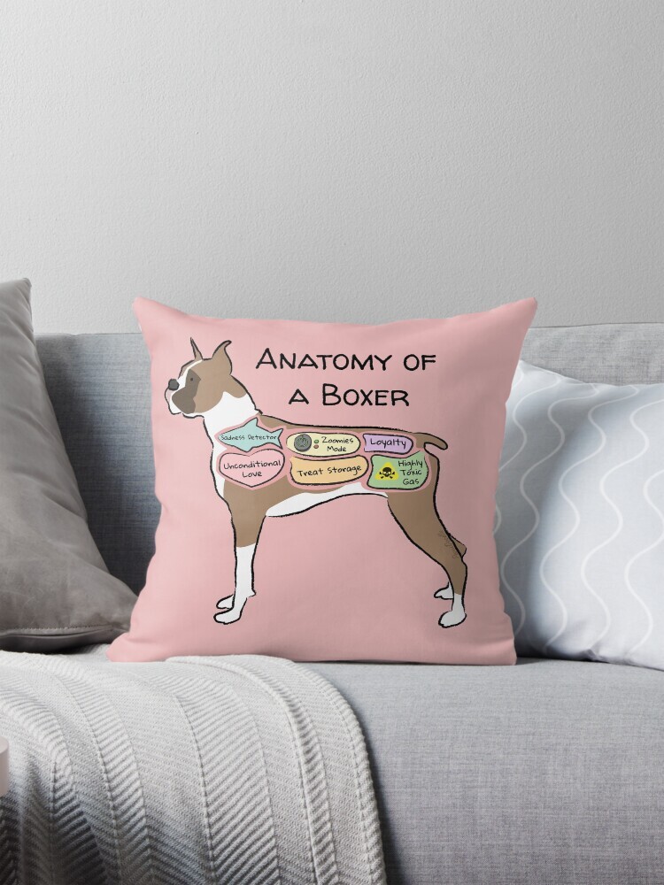 Decorative throw pillow on a couch featuring a cartoon illustration titled “Anatomy of a Boxer” showing a cute Boxer dog with funny labeled anatomy sections.