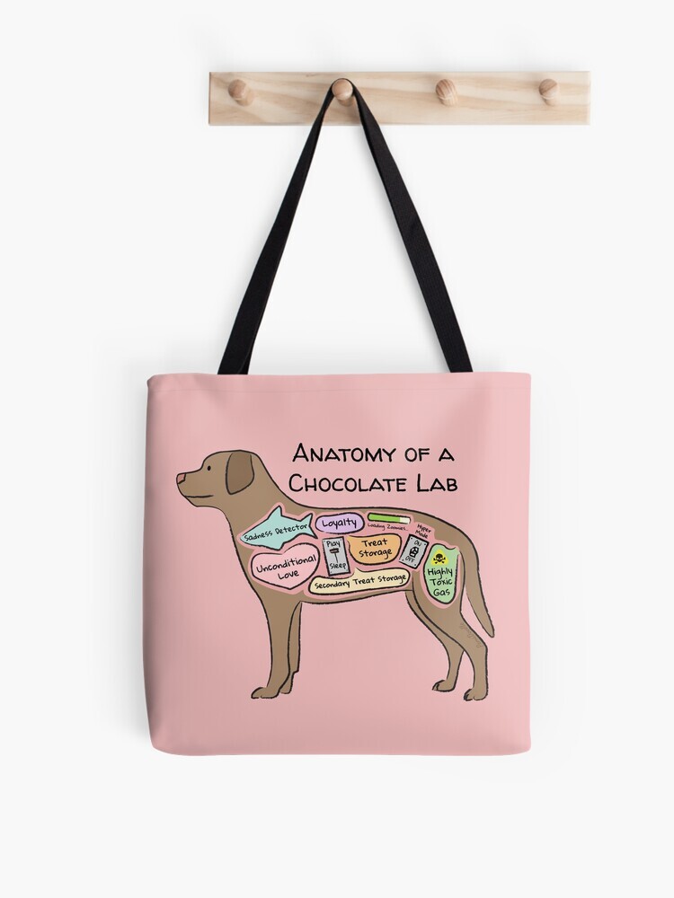 A pink-colored tote bag hanging off a wooden hook. On the tote bag features a cartoon illustration titled “Anatomy of a Chocolate Lab” showing a cute Chocolate Lab dog with funny labeled anatomy sections.