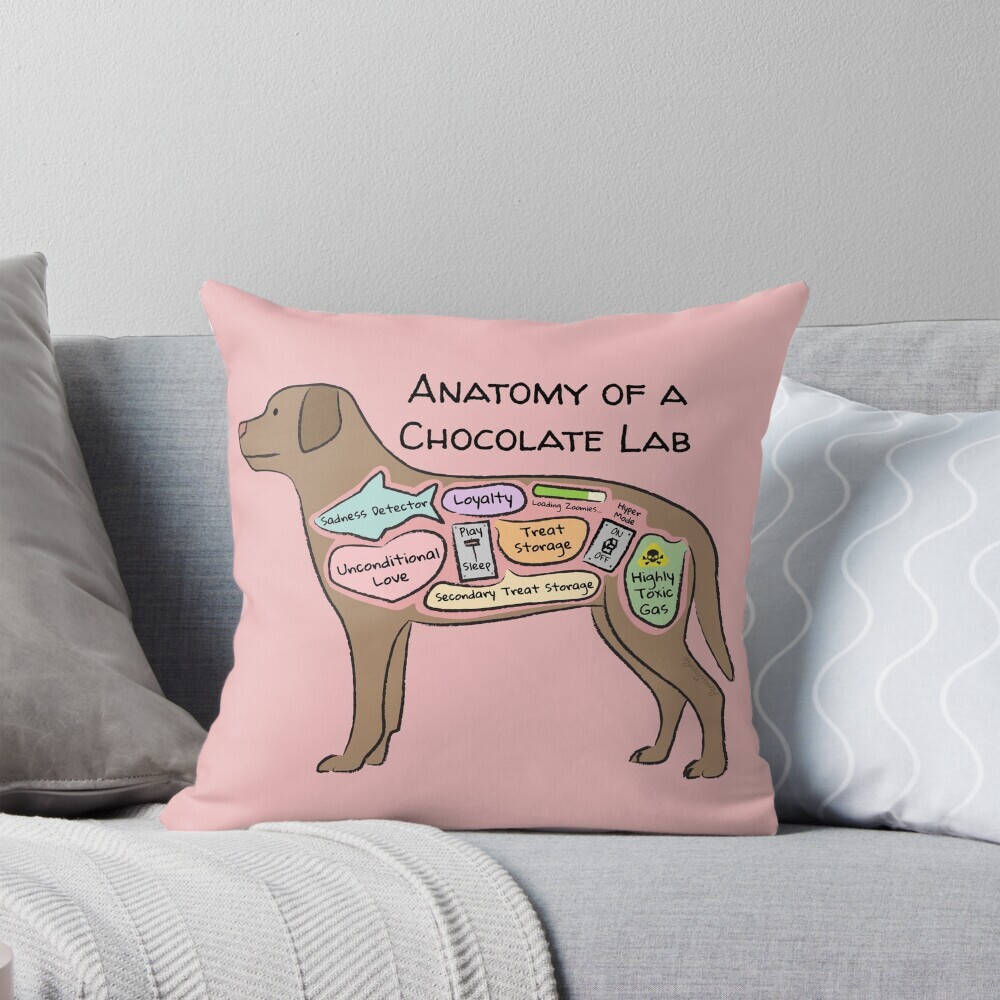 Decorative throw pillow on a couch featuring a cartoon illustration titled “Anatomy of a Chocolate Lab” showing a cute  Chocolate Lab dog with funny labeled anatomy sections.