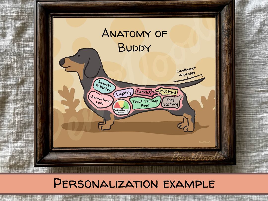 Anatomy of a Dachshund custom art print on Etsy