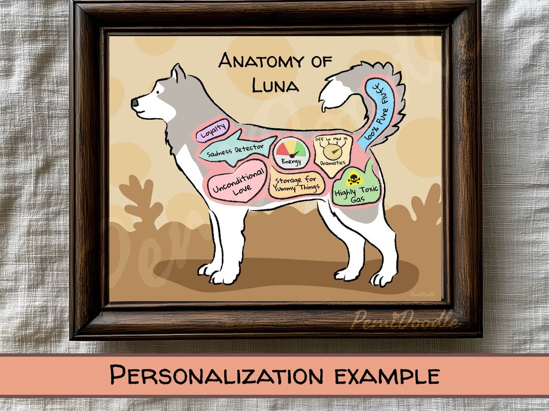 Anatomy of a Husky custom art print on Etsy