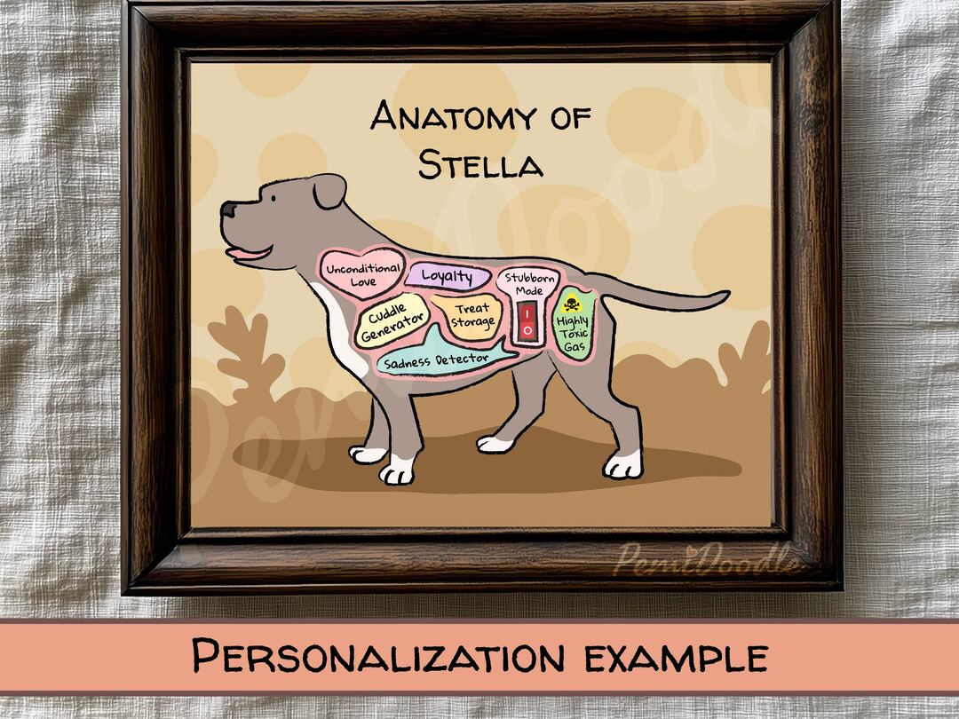 Anatomy of a Pit Bull custom art print on Etsy
