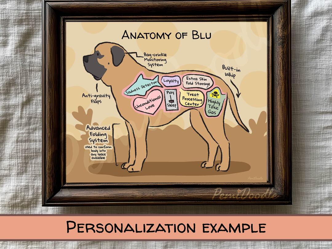 Anatomy of an English Mastiff custom art print on Etsy