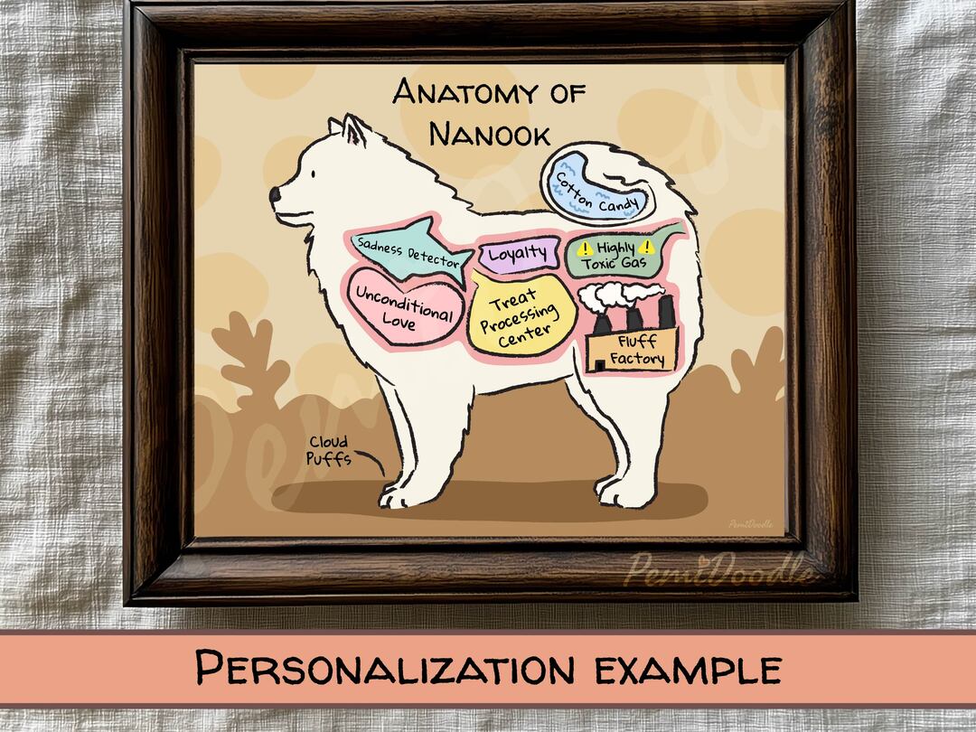 Anatomy of a Samoyed custom art print on Etsy