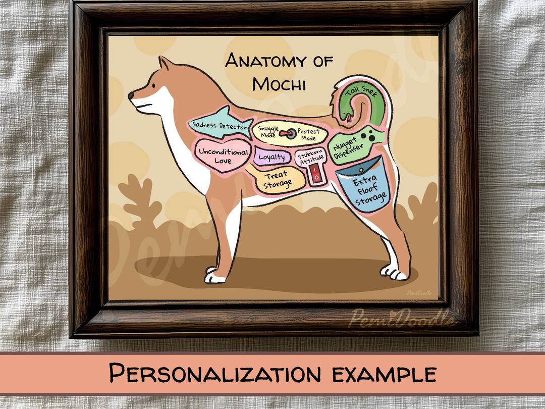 Anatomy of a Shiba Inu custom art print on Etsy