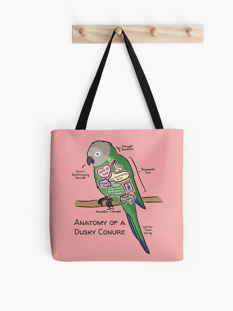 A pink-colored tote bag hanging off a wooden hook. On the tote bag features a cartoon illustration titled “Anatomy of a Dusky Conure” showing a cute Dusky Conure parrot with funny labeled anatomy sections.