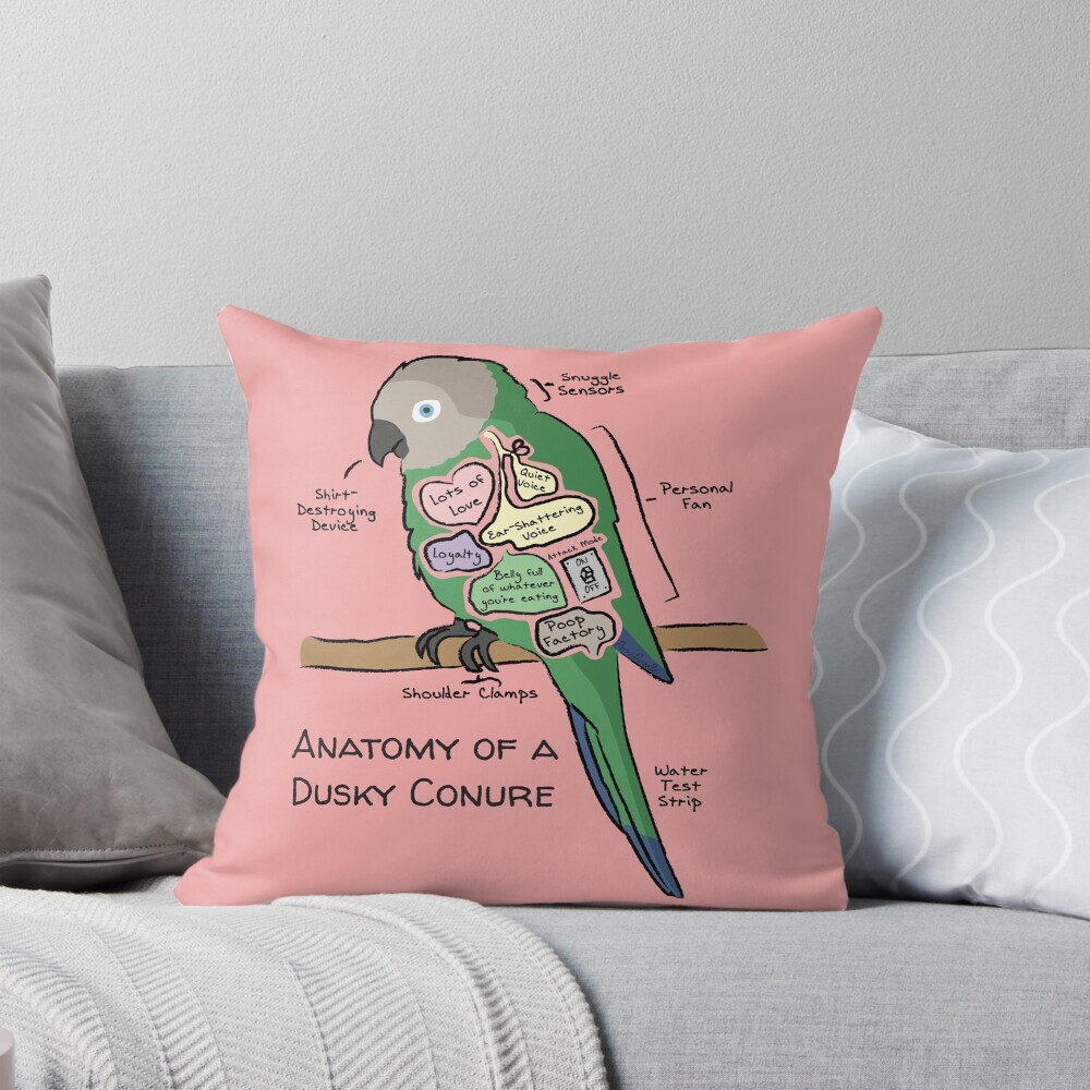Decorative throw pillow on a couch featuring a cartoon illustration titled “Anatomy of a Dusky Conure” showing a cute Dusky Conure parrot with funny labeled anatomy sections.