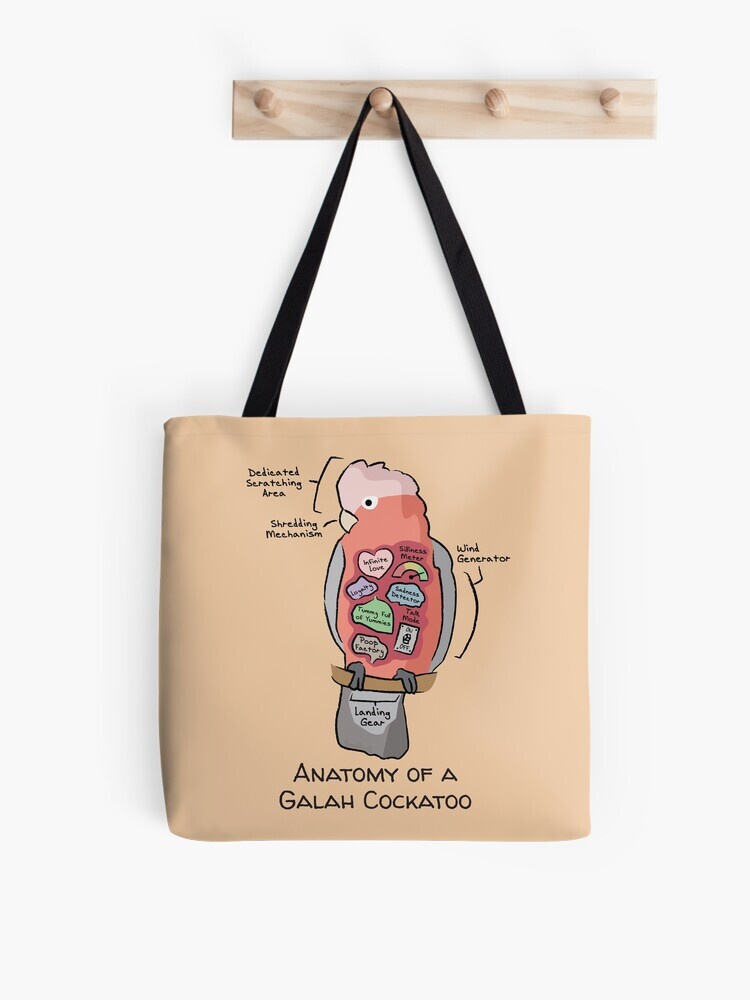 A pink-colored tote bag hanging off a wooden hook. On the tote bag features a cartoon illustration titled “Anatomy of a Sun Conure” showing a cute Sun Conure parrot with funny labeled anatomy sections.