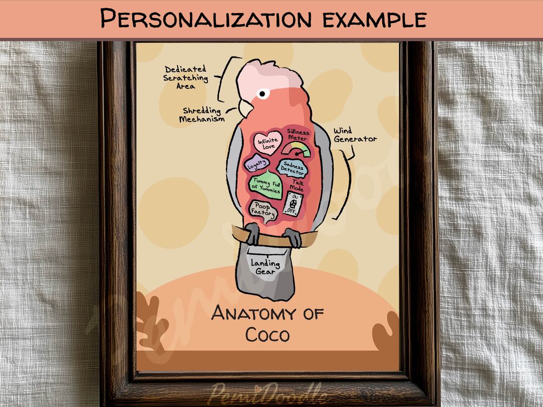 Anatomy of a Galah Cockatoo custom art print on Etsy