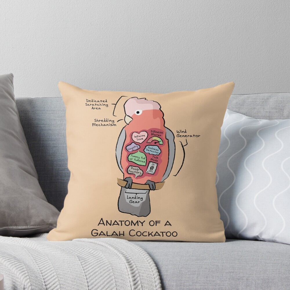 Decorative throw pillow on a couch featuring a cartoon illustration titled “Anatomy of a Galah Cockatoo” showing a cute Galah Cockatoo with funny labeled anatomy sections.