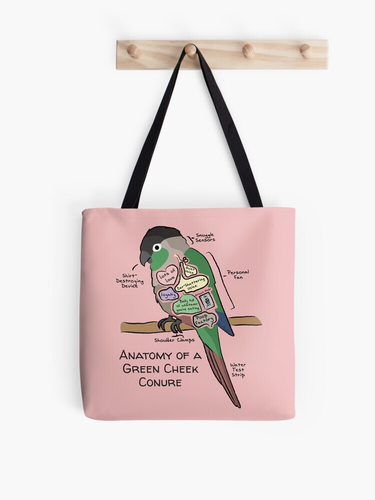 A pink-colored tote bag hanging off a wooden hook. On the tote bag features a cartoon illustration titled “Anatomy of a Green Cheek Conure” showing a cute Green Cheek Conure parrot with funny labeled anatomy sections.