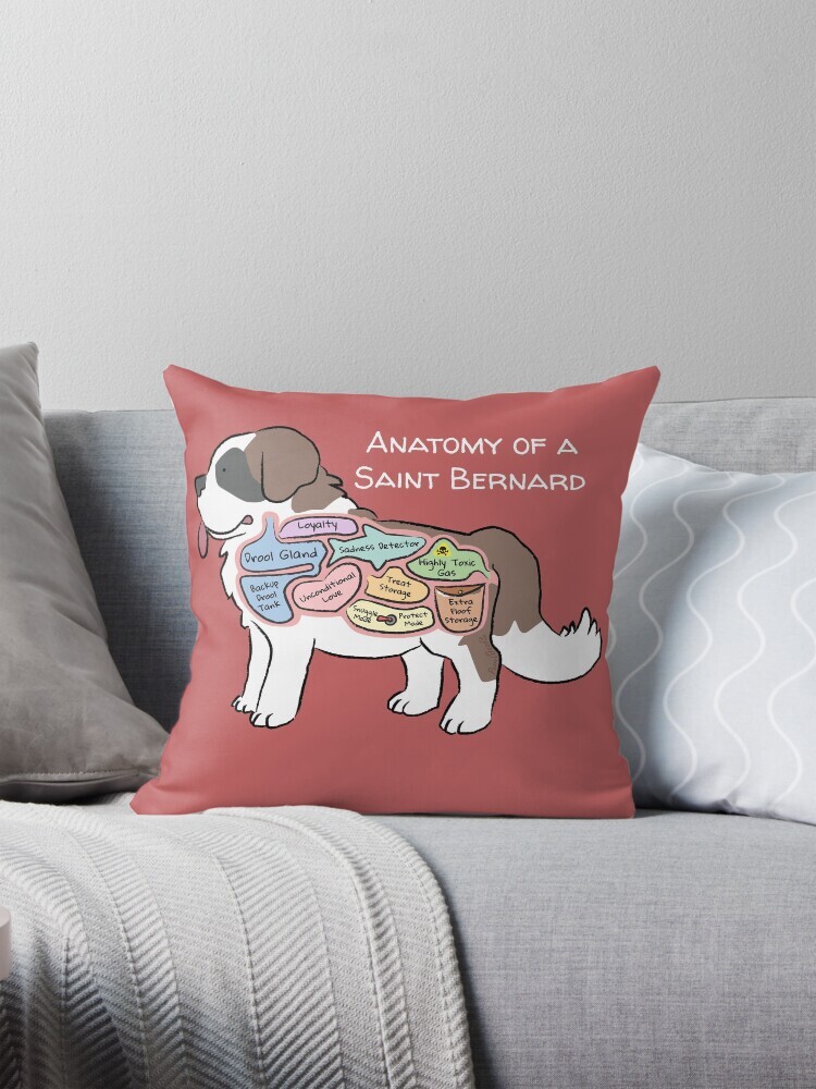 Decorative throw pillow on a couch featuring a cartoon illustration titled “Anatomy of a Saint Bernard,” showing a cute Saint Bernard dog with funny labeled anatomy sections.
