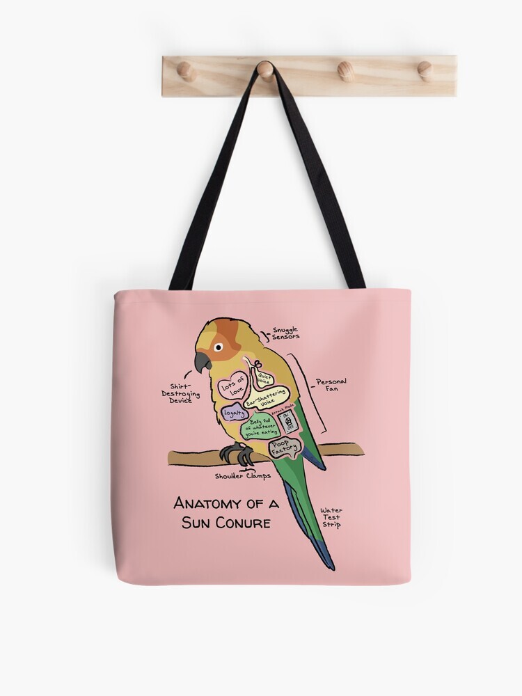 A pink-colored tote bag hanging off a wooden hook. On the tote bag features a cartoon illustration titled “Anatomy of a Sun Conure” showing a cute Sun Conure parrot with funny labeled anatomy sections.