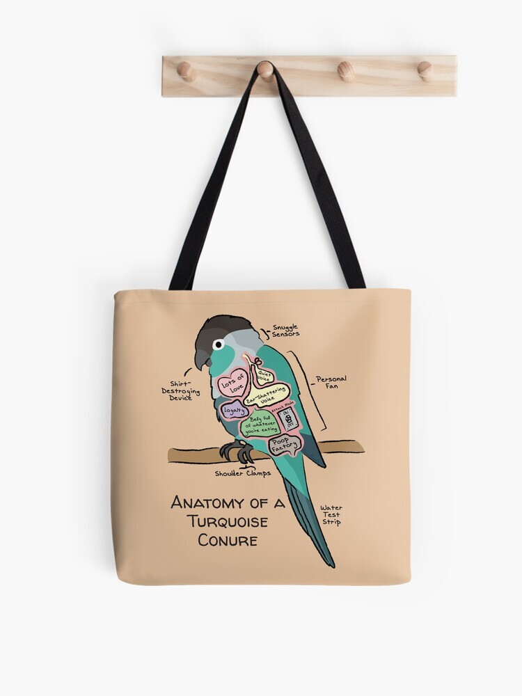 A pink-colored tote bag hanging off a wooden hook. On the tote bag features a cartoon illustration titled “Anatomy of a Turquoise Conure” showing a cute Turquoise Conure parrot with funny labeled anatomy sections.