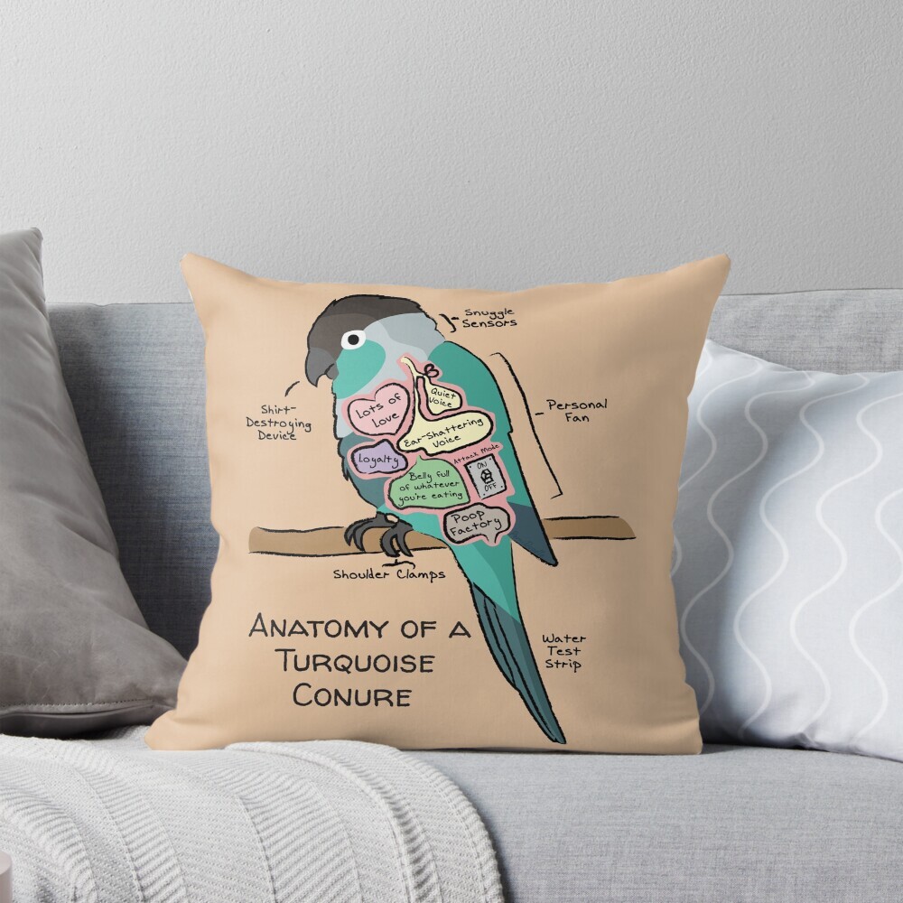 Decorative throw pillow on a couch featuring a cartoon illustration titled “Anatomy of a Turquoise Conure” showing a cute Turquoise Conure parrot with funny labeled anatomy sections.
