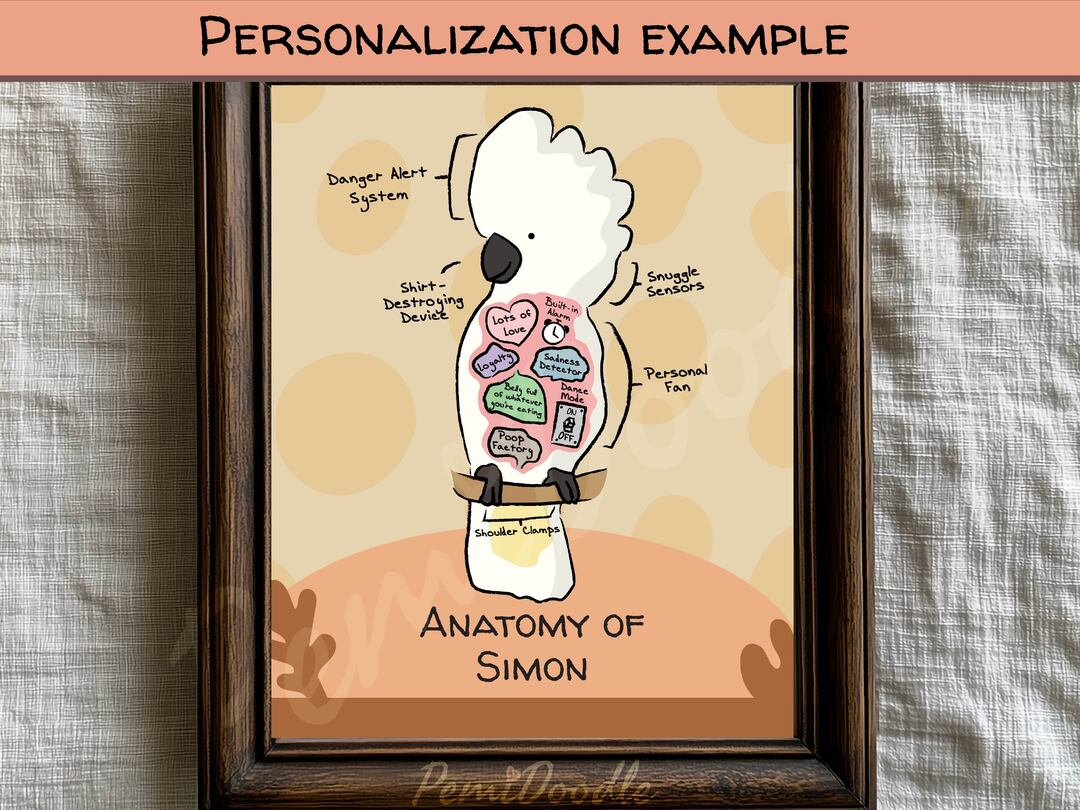 Anatomy of an Umbrella Cockatoo custom art print on Etsy