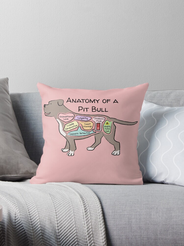 Decorative throw pillow on a couch featuring a cartoon illustration titled “Anatomy of a Pit Bull” showing a cute Pit Bull dog with funny labeled anatomy sections.