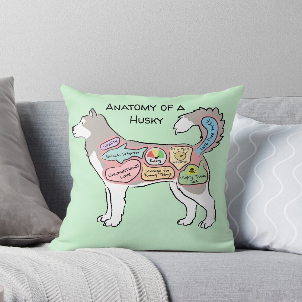 Decorative throw pillow on a couch featuring a cartoon illustration titled “Anatomy of a Husky” showing a cute Husky dog with funny labeled anatomy sections.