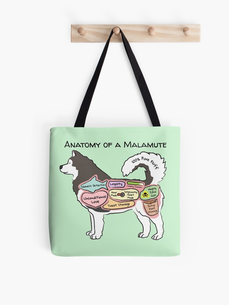 A light green-colored tote bag hanging off a wooden hook. On the tote bag features a cartoon illustration titled “Anatomy of a Malamute” showing a cute Malamute dog with funny labeled anatomy sections.