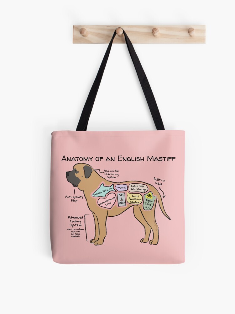 A pink-colored tote bag hanging off a wooden hook. On the tote bag features a cartoon illustration titled “Anatomy of an English Mastiff” showing a cute English Mastiff dog with funny labeled anatomy sections.