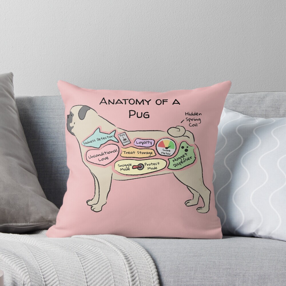 Decorative throw pillow on a couch featuring a cartoon illustration titled “Anatomy of a Pug” showing a cute Pug dog with funny labeled anatomy sections.