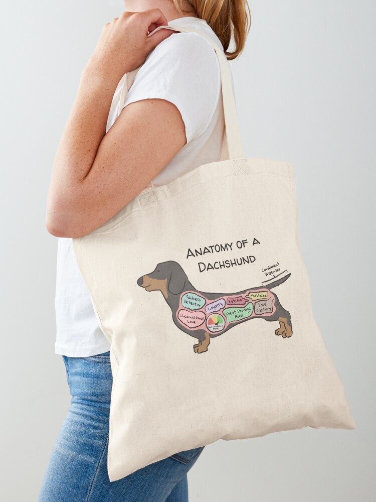 A woman wearing a white short sleeve t-shirt with a cotton tote bag on her shoulder. The tote bag features a cartoon illustration titled “Anatomy of a Dachshund” showing a cute Dachshund dog with funny labeled anatomy sections.