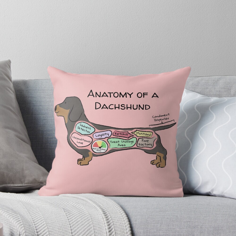 Decorative throw pillow on a couch featuring a cartoon illustration titled “Anatomy of a Dachshund” showing a cute Dachshund dog with funny labeled anatomy sections.