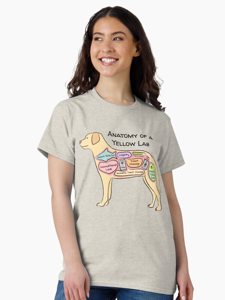 A brunette woman wearing a t-shirt  featuring a cartoon illustration titled “Anatomy of a Yellow Lab” showing a cute Yellow Lab dog with funny labeled anatomy sections.