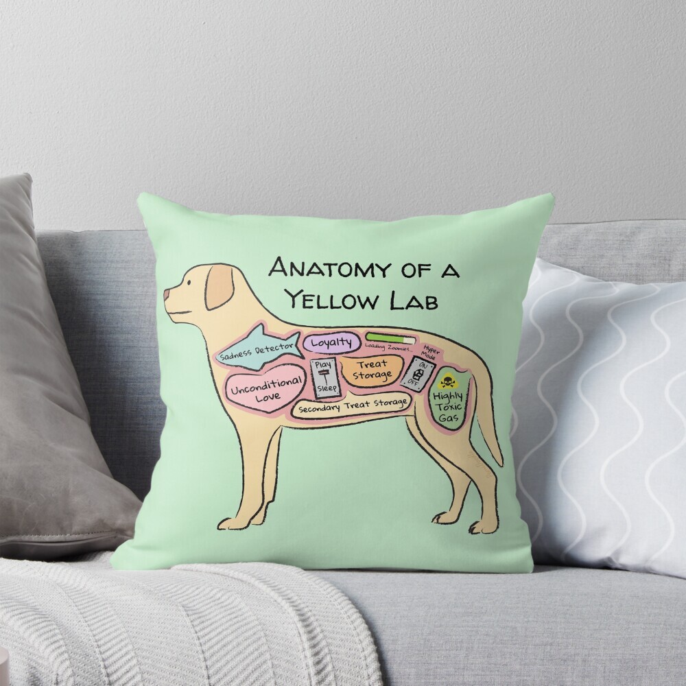 Decorative throw pillow on a couch featuring a cartoon illustration titled “Anatomy of a Yellow Lab” showing a cute Pug dog with funny labeled anatomy sections.