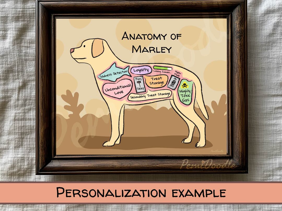 Anatomy of a Yellow Lab custom art print on Etsy